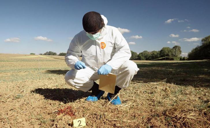 Experts du crime : quand la science mène l'enquête